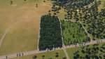 woodedforest02.jpg