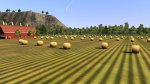 farm03.jpg