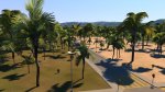 palmArea02.jpg