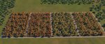 forestAutumn01.jpg