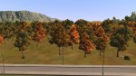 forestAutumn03.jpg