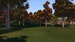 forestAutumn04.jpg