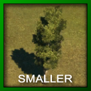 skl_tree_Lombardy_Poplar.png