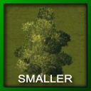 skl_tree_Sugar_Maple.png