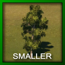 skl_tree_Tulip_Poplar.png