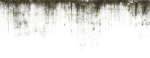 15771-18209d8776c803cb4dee1d980d079813.jpg