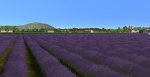 cxl_screenshot_alterra_131.jpg
