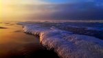 IMG_20131217_084309_174.jpg