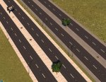 005.JPG
