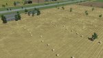 wheat01.jpg