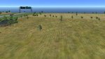 wheat03.jpg