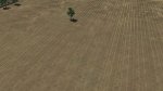 wheat08.jpg