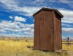 brown_big[1].jpg