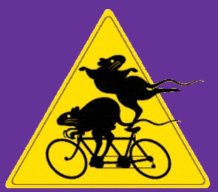 Rat_Des_Villes