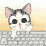 KR153