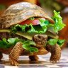 Tortuga