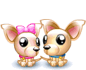 Dogs in Love