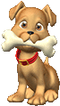 Happy Dog