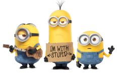 Stupid